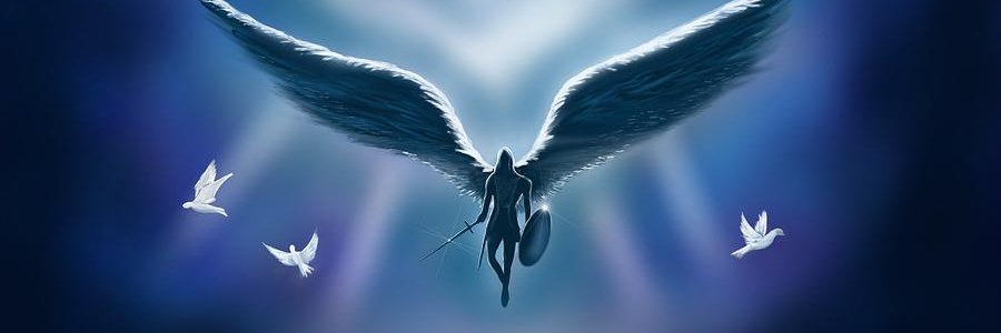 conor fitzgibbon banner