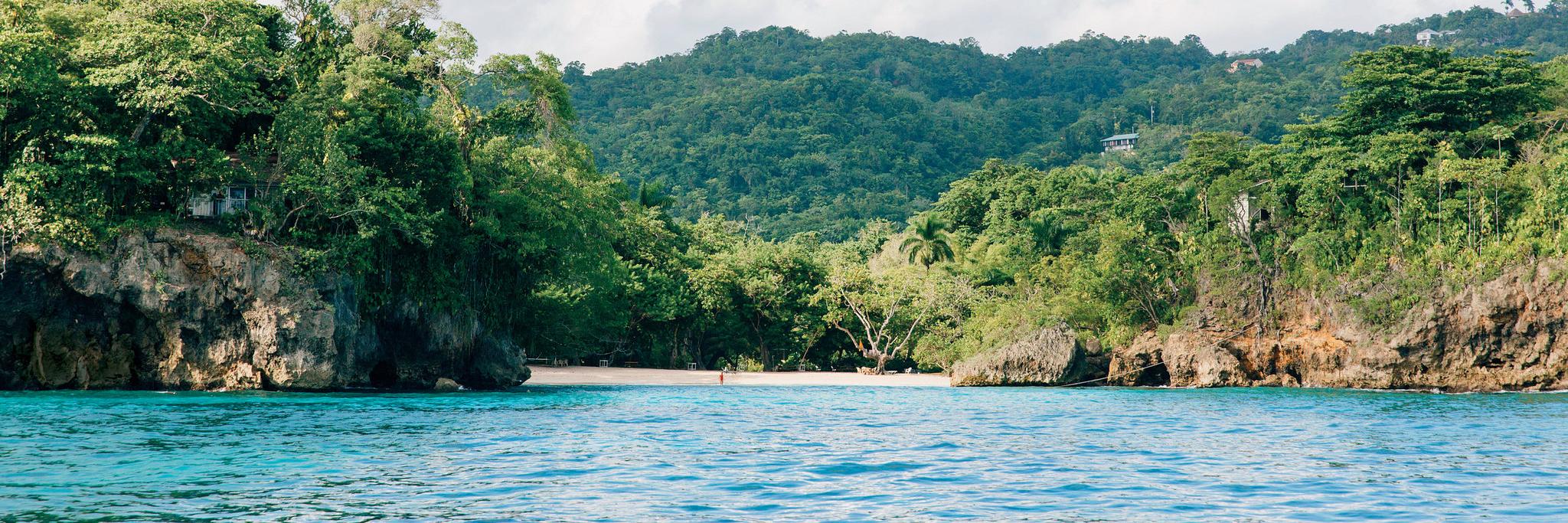 BelloTweeet's profile banner image