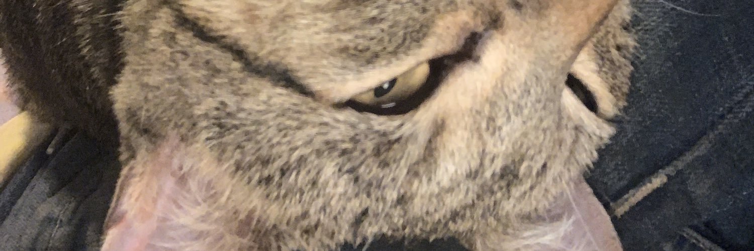 rodriguezj281's profile banner image