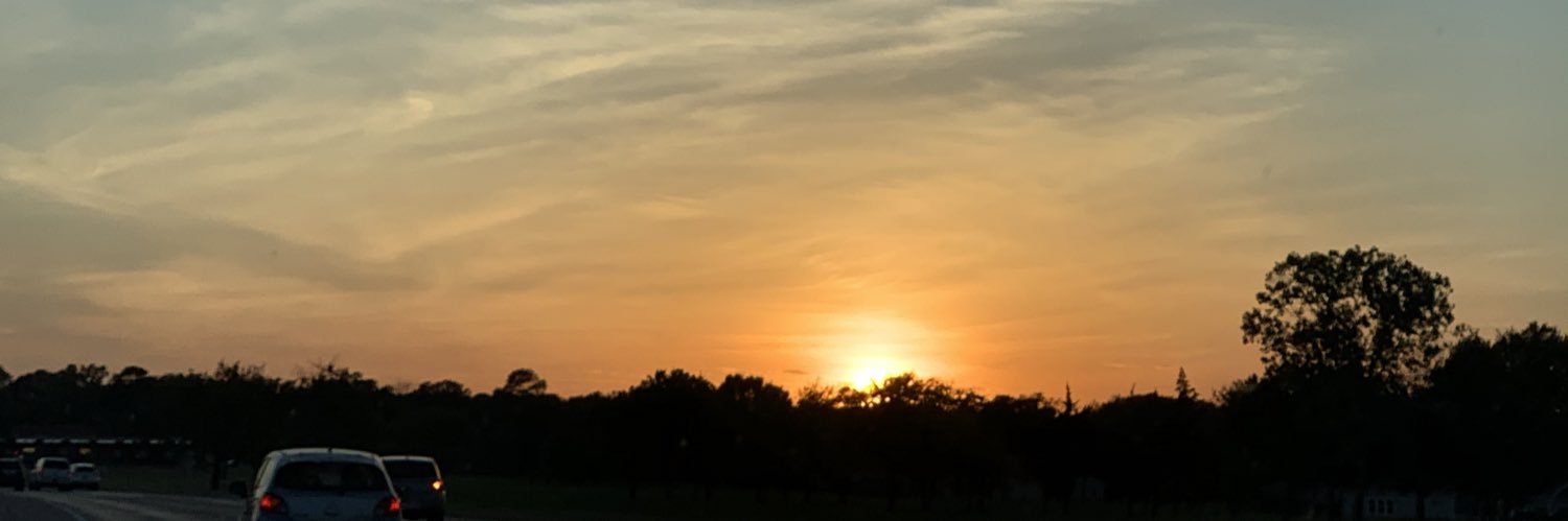 Queen_Erica_'s profile banner image