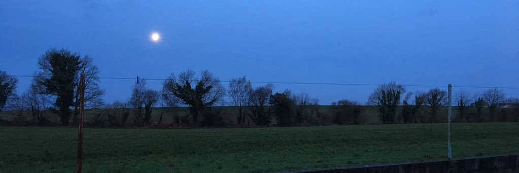 jearsema's profile banner image