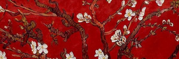 itsawander's profile banner image