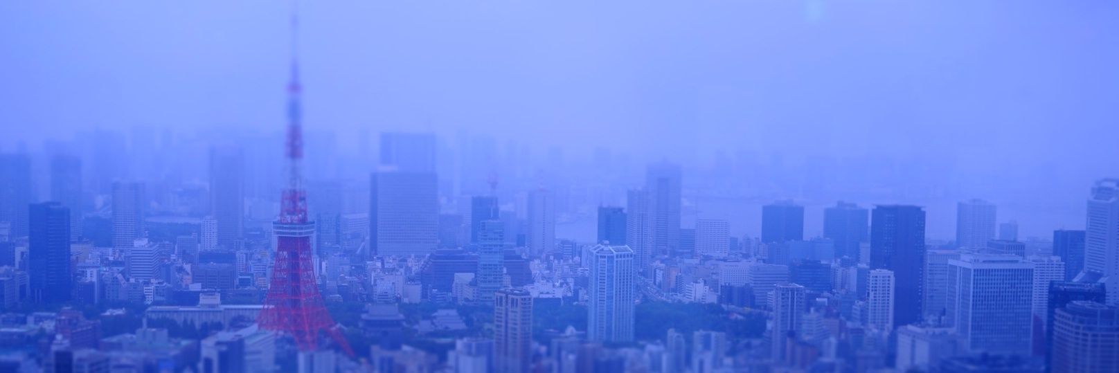 _green_pot's profile banner image