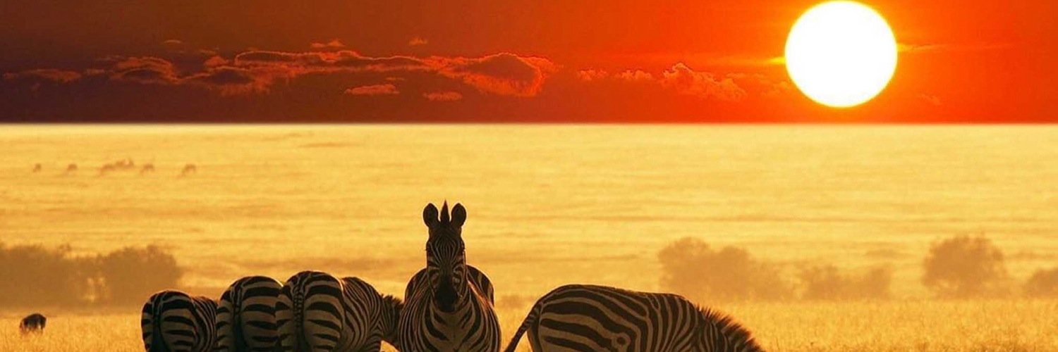 Mathayo_Mbatia's profile banner image