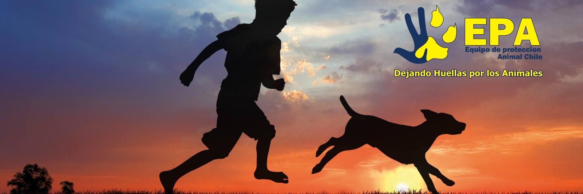 EPA Chile banner