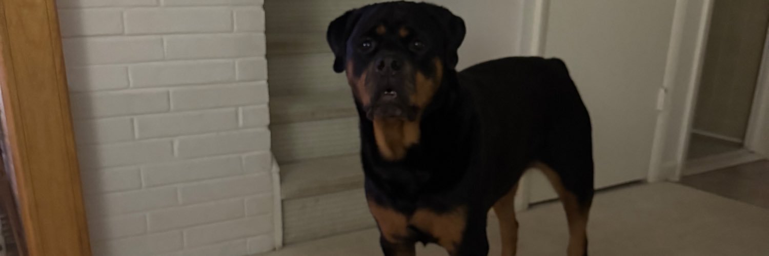 BigModdy's profile banner image