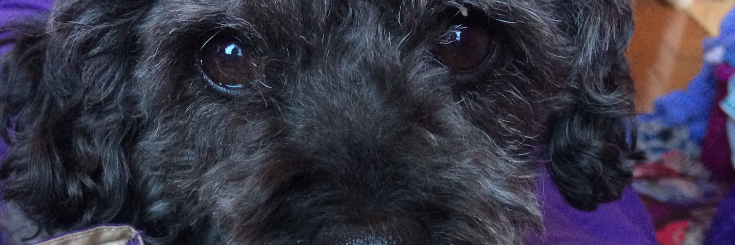 FranBSMI's profile banner image