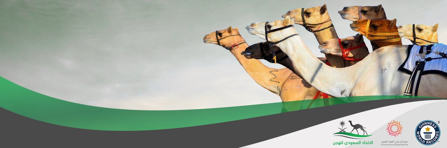 hjnumluj's profile banner image