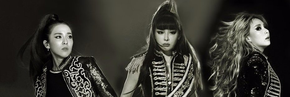 ash_chae's profile banner image