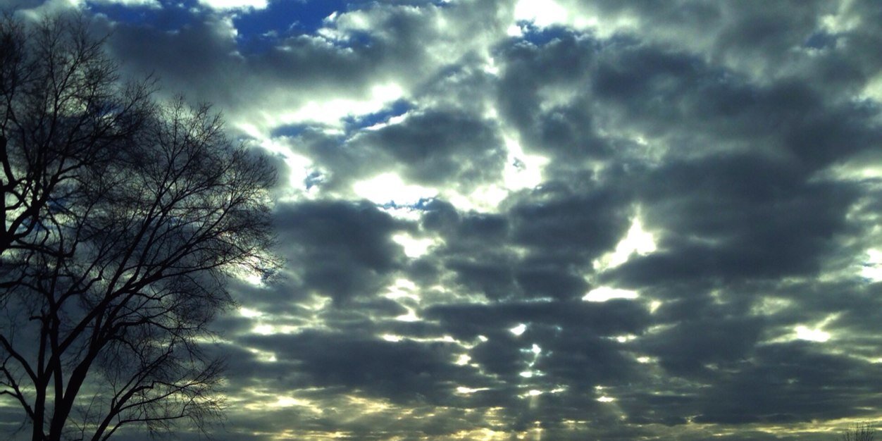 Samantha Springer banner