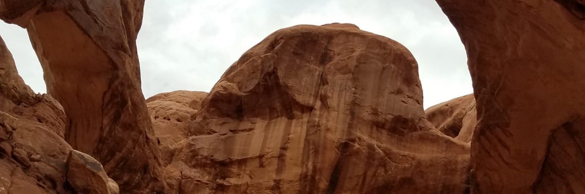 _lissa_A_'s profile banner image