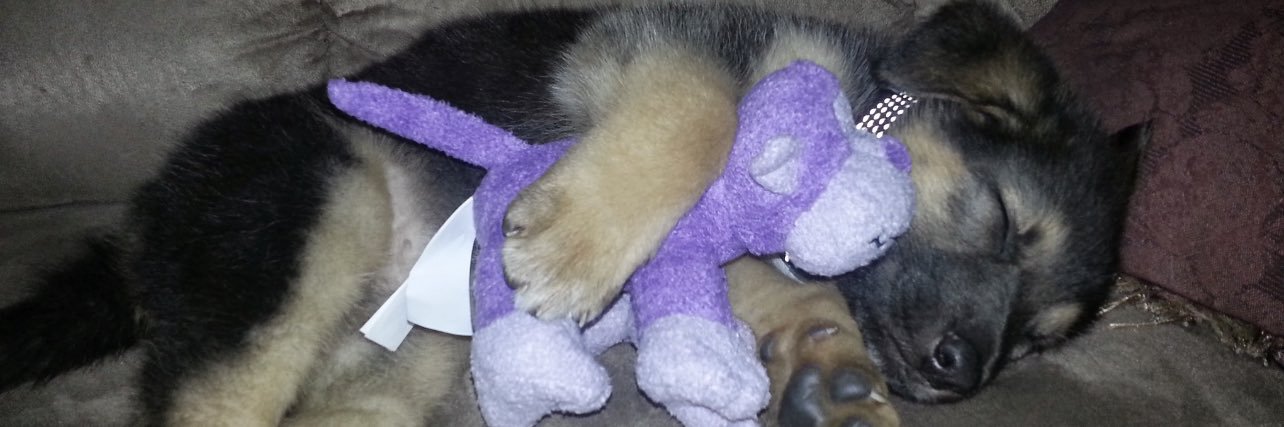 Breesaurus-rex🐝 banner