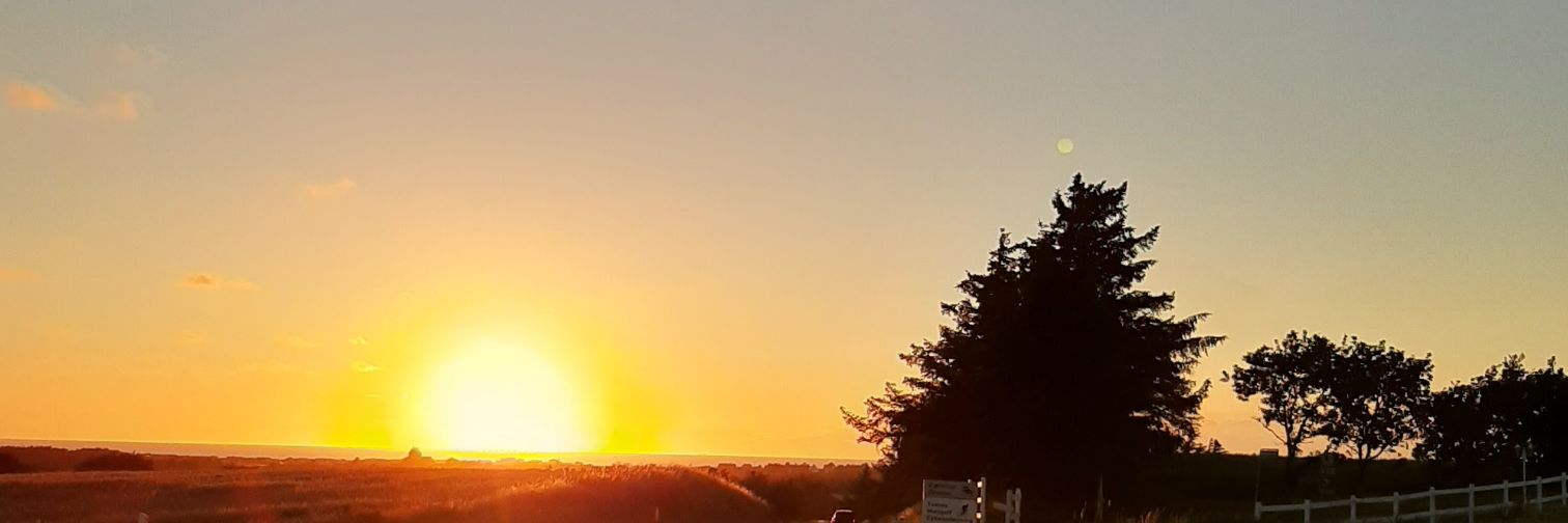 komazingly's profile banner image