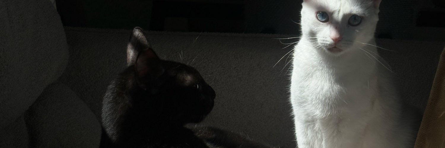 eyraprado's profile banner image