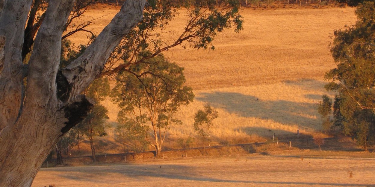 blakcate's profile banner image