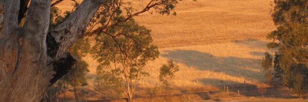 blakcate Profile Banner