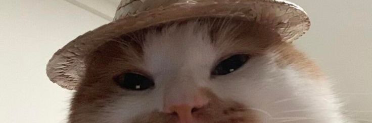 FruiteeeLoops's profile banner image