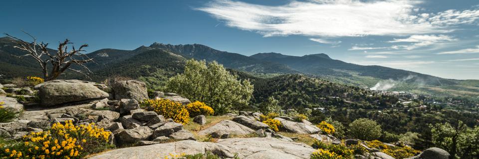 AytoCercedilla's profile banner image