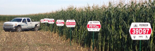 eedensag Profile Banner