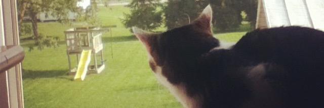 erinmcgow's profile banner image