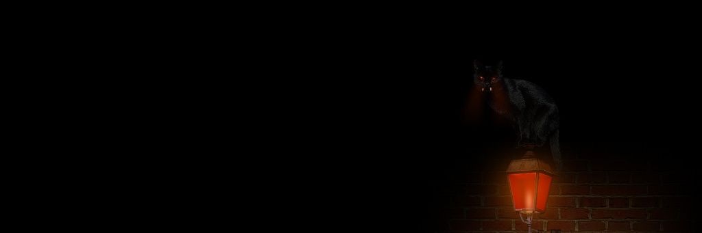 marywolf666's profile banner image