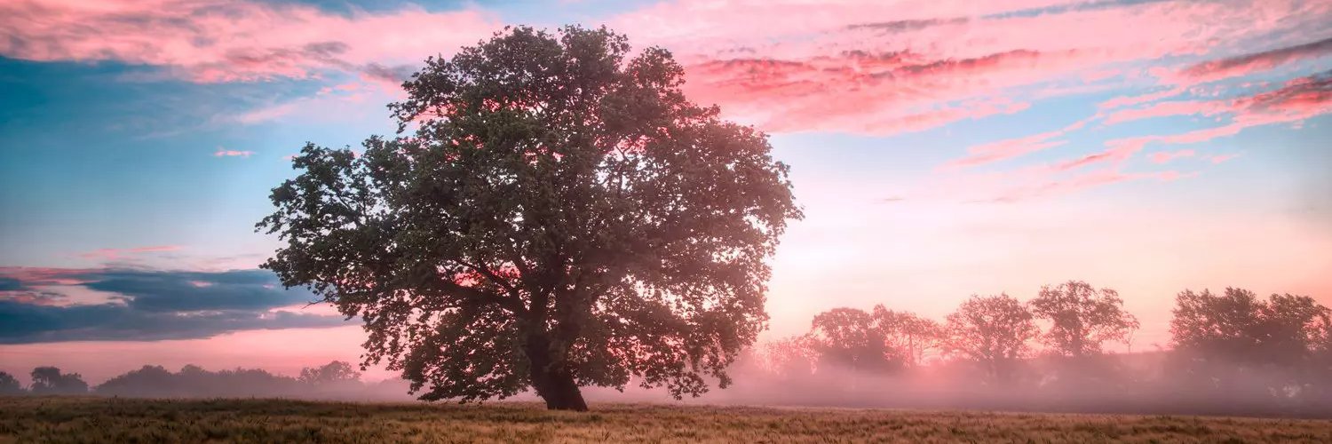 jaredsyokte's profile banner image
