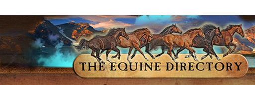 Equine_Direct's profile banner image
