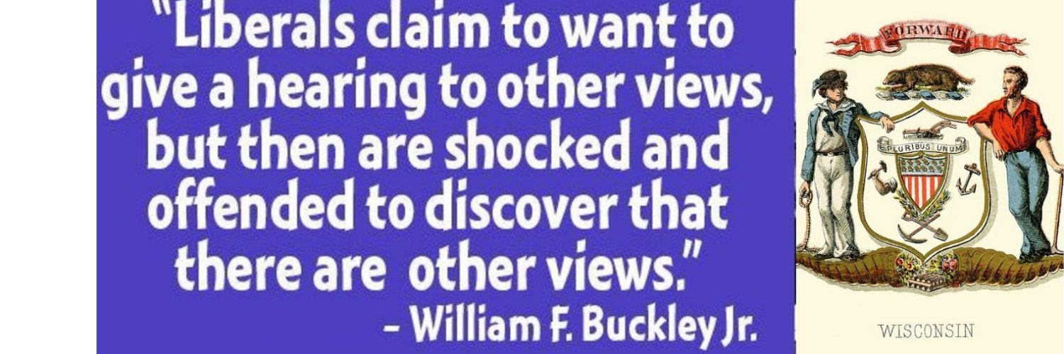 The Badger Pundit banner