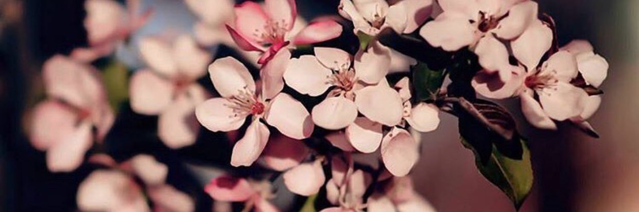 رضاك ربي والجنه 🍃's banner