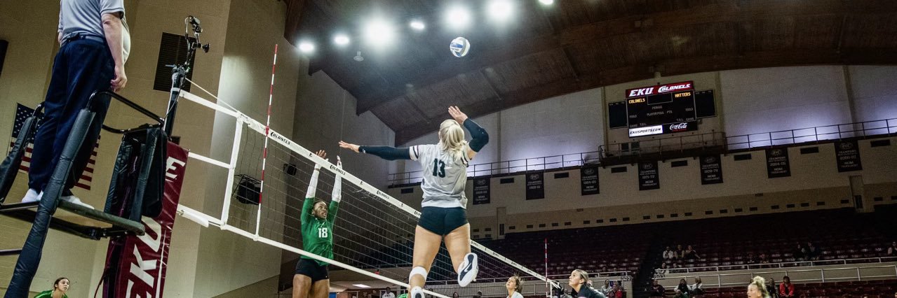 Sarah Mitchell banner