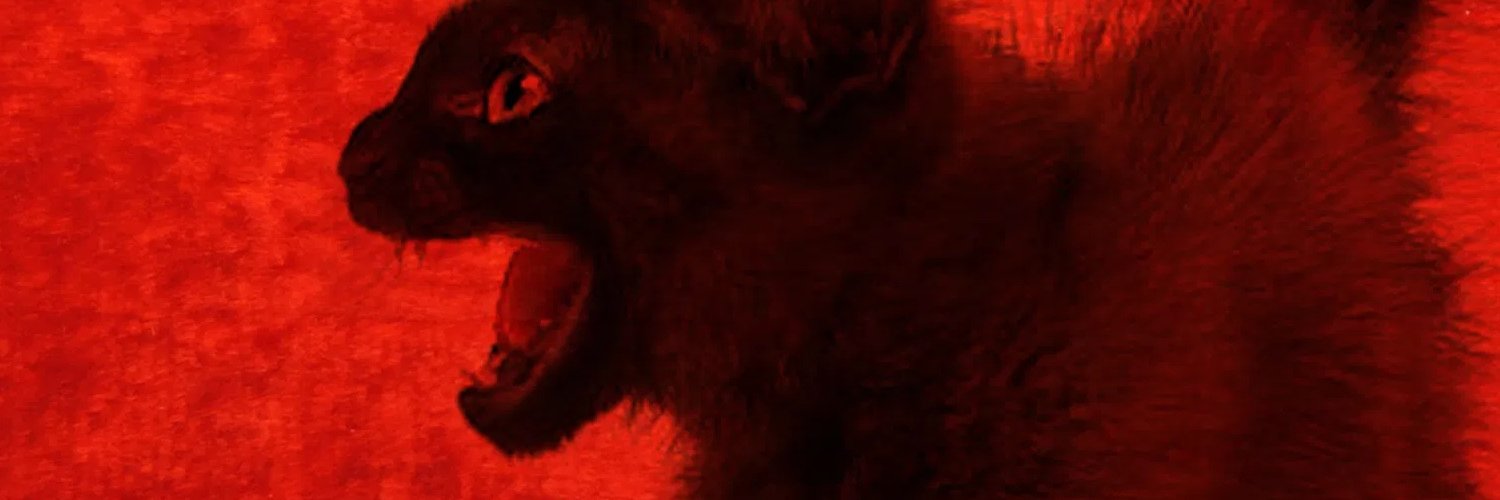 AntiAll3s's profile banner image