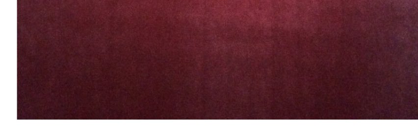 Tyler Price banner