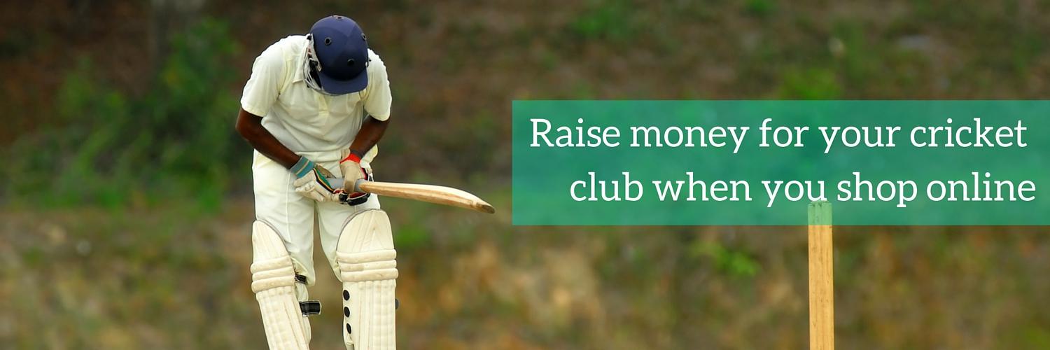 GoRaise4Cricket's profile banner image
