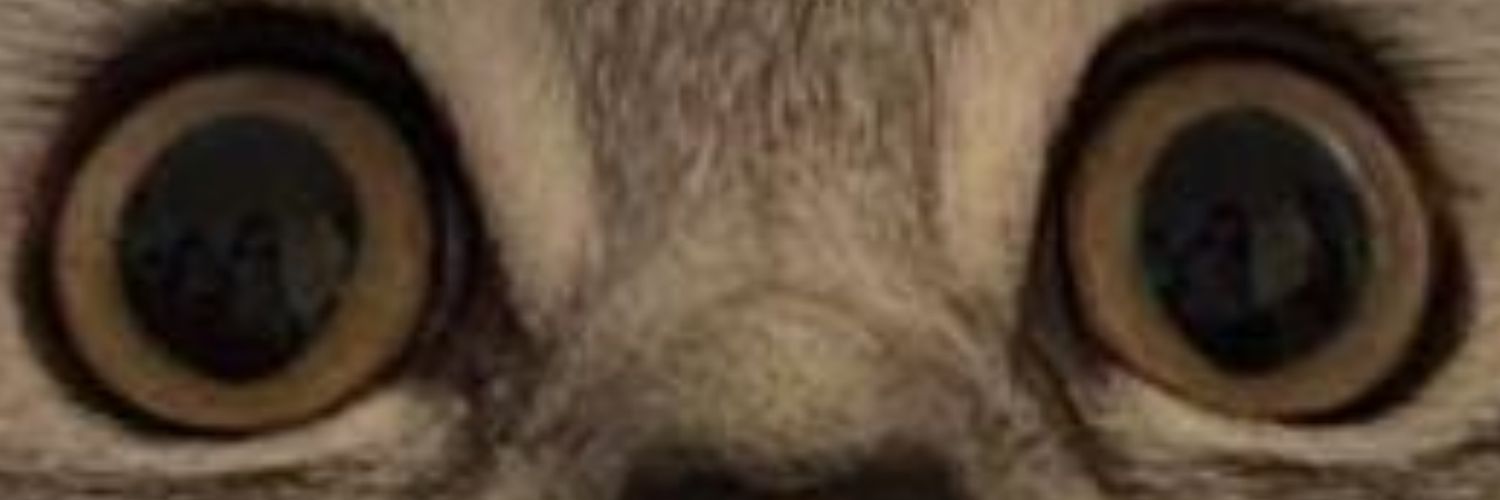 Christianllol's profile banner image