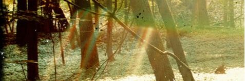 adri banner