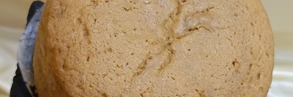 CreamandGold042 Profile Banner