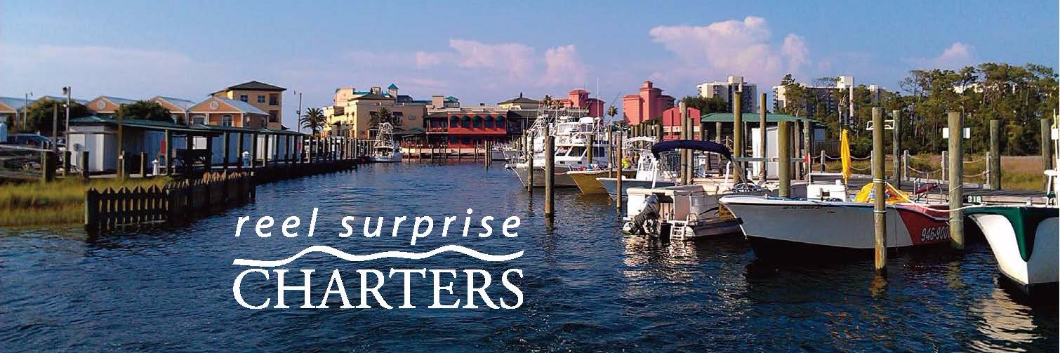 ReelSurprise's profile banner image