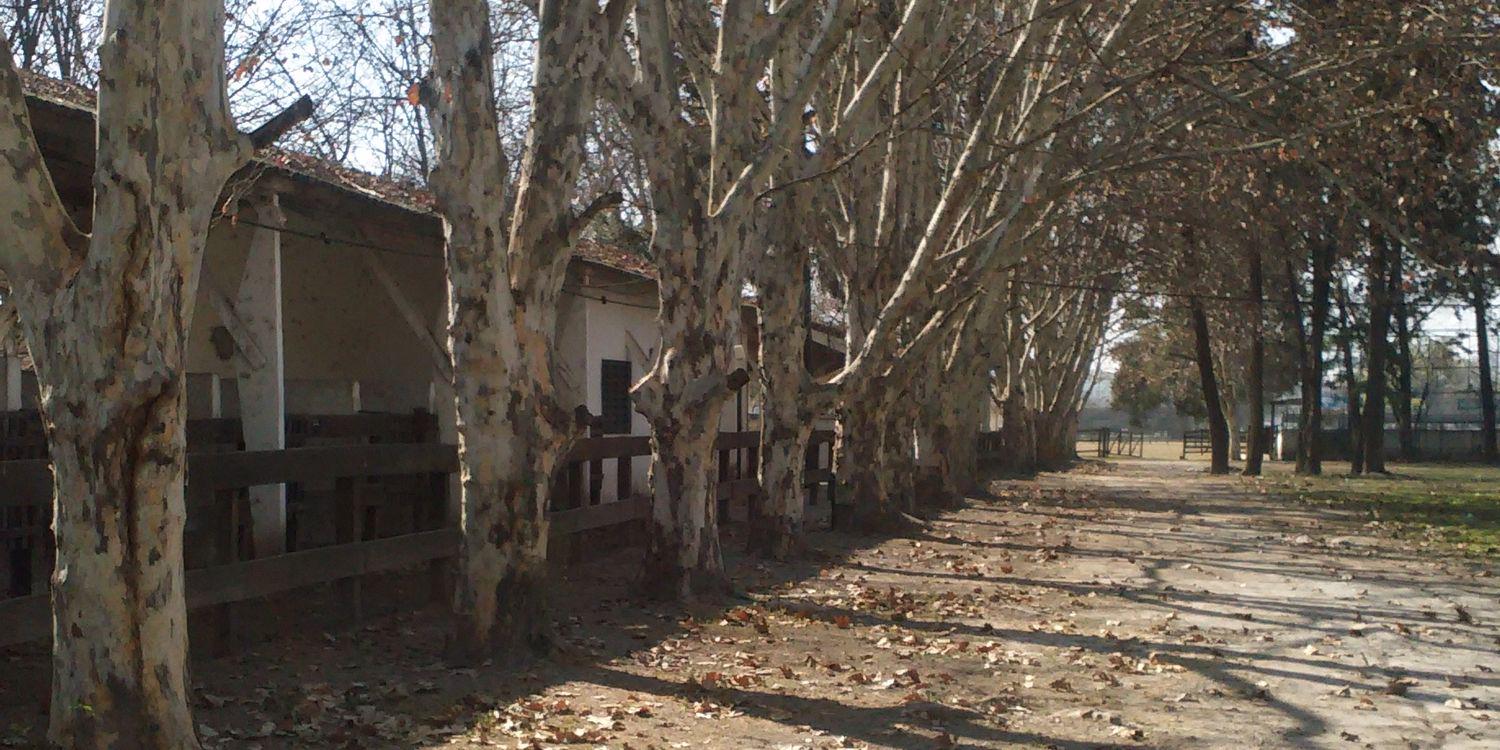 Rural Salteña banner