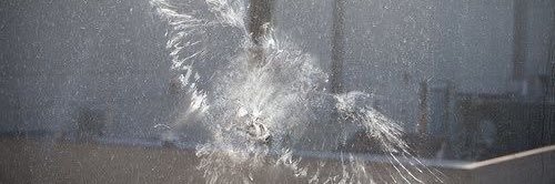mollydigit4l's profile banner image