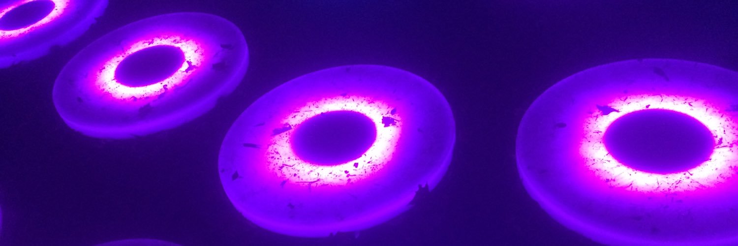 Christian F3 RY banner