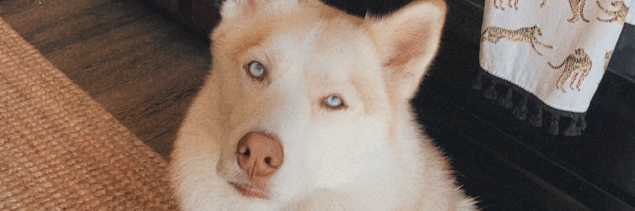 LindsayBlanks's profile banner image