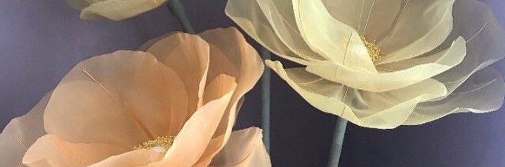 nora_a2020's profile banner image