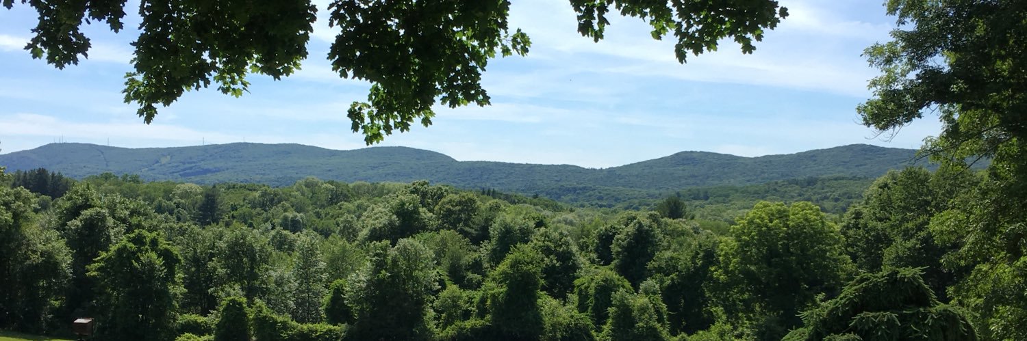 Sarah Callahan Pelletier banner