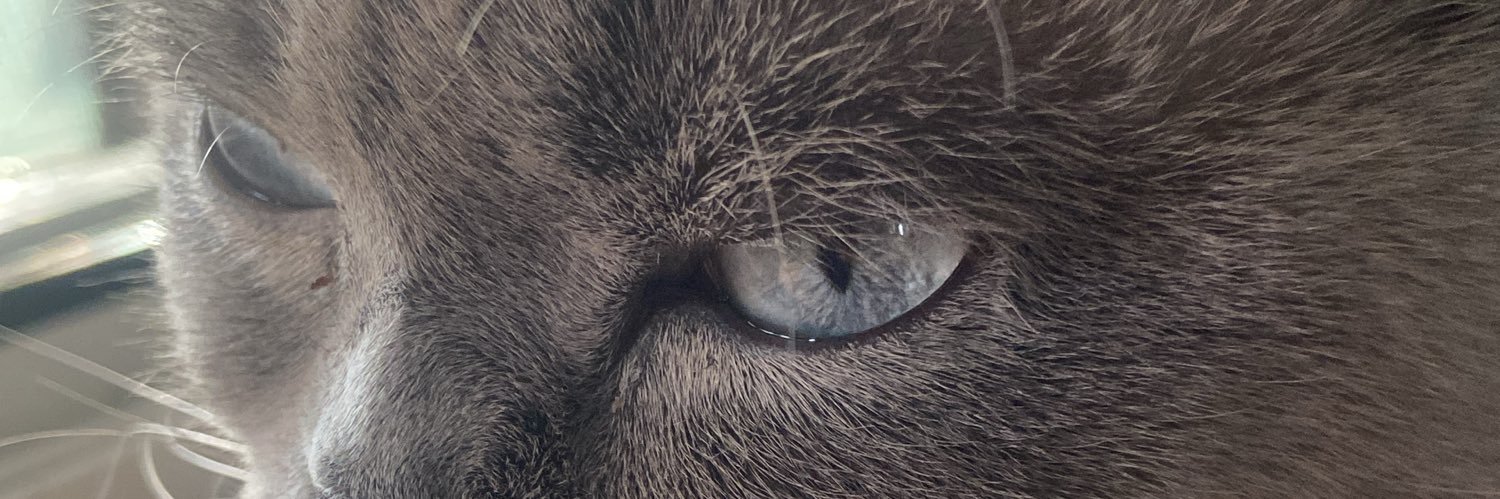 The_Batuu's profile banner image