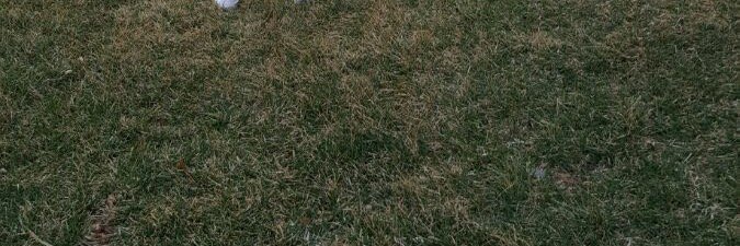 StaleyHS_19's profile banner image