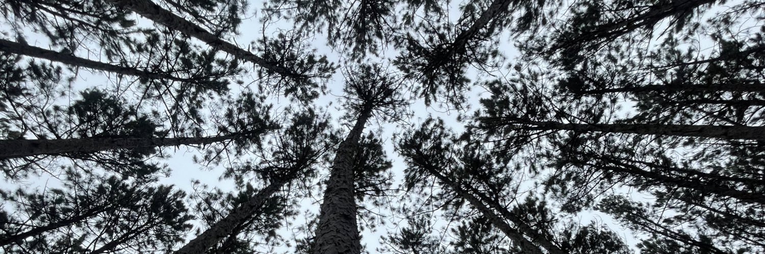 michpbis's profile banner image