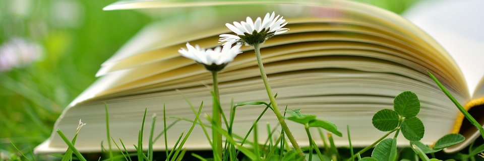 Edward Van Winkle banner