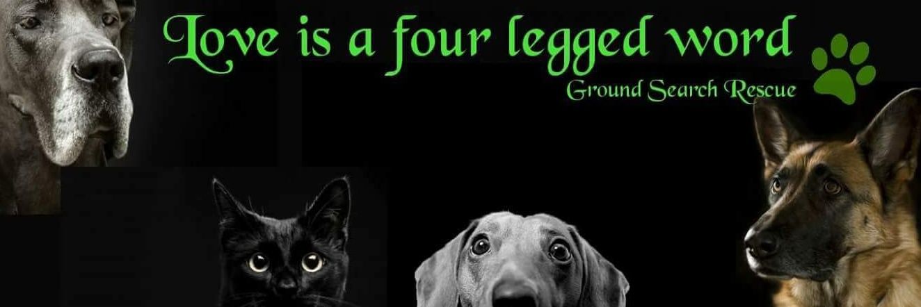 GroundSearch's profile banner image