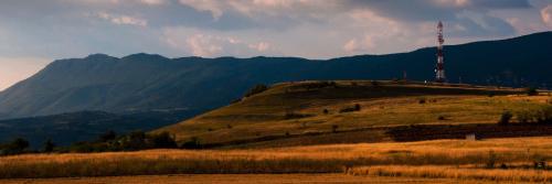 MariaCalderon_f's profile banner image
