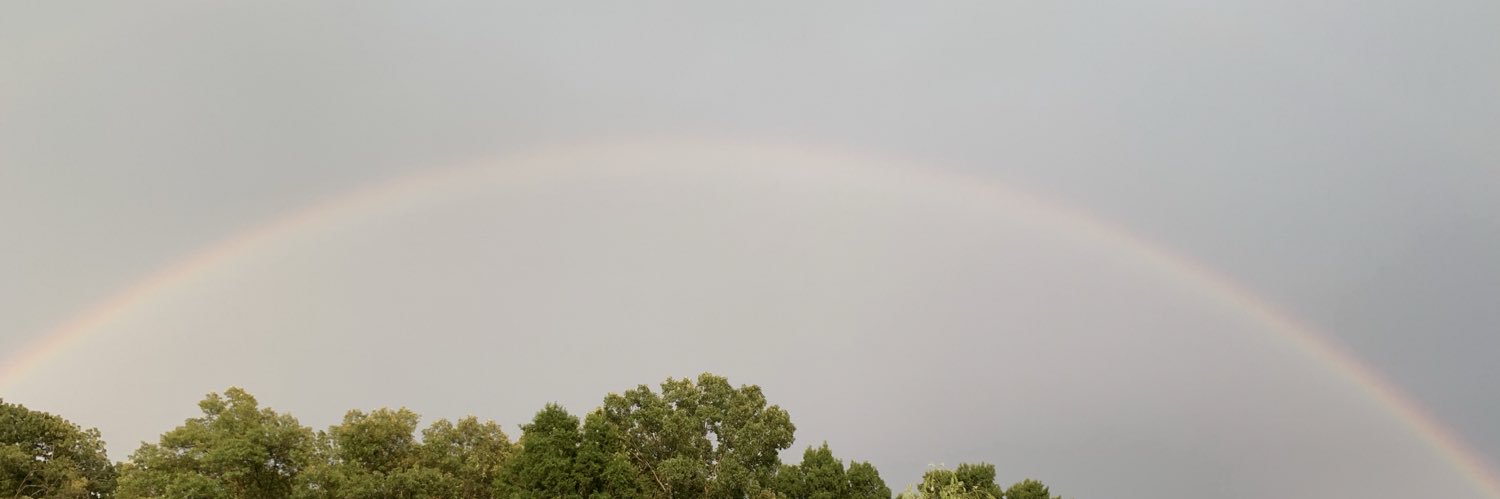 sky_ann_'s profile banner image